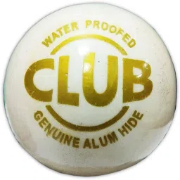 Best Quality WHITE BALL Cricket Leather Ball-image-90