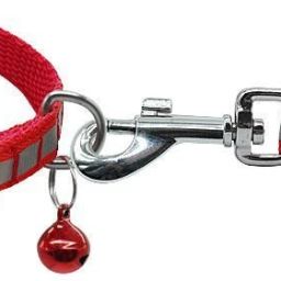 Cat Safety Harness-image-74