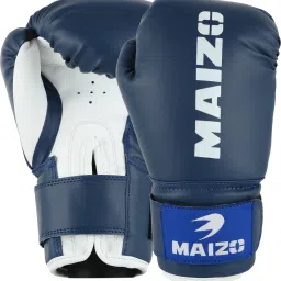 Striker Boxing Gloves/ Training Gloves-8OZ Boxing Gloves-image-66