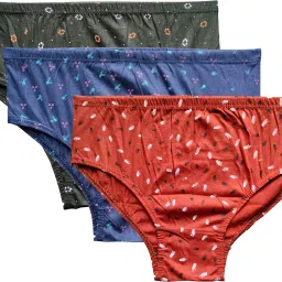 Pack of 3 Women Hipster Multicolor Panty-image-7