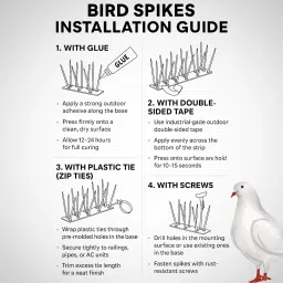 homlify Bird Spike image 5