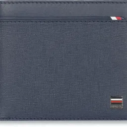Men Casual, Formal Blue Genuine Leather Wallet-image-54