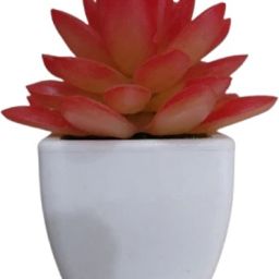 Wild Artificial Plant with Pot-image-59