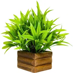 Bamboo Leaves Plant in Wood Pot with Height : 17 cm Artificial Plantwith Pot-image-17