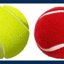 New-Tennis _260Pack of 6 Tennis Ball-image-70