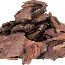 Neem Chaal| Neem Bark | Veppam Pattai Air Fryer-image-67