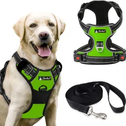 Double Side/Body Ajustable Dog Harness with Leash Dog Collar & Leash-image-36