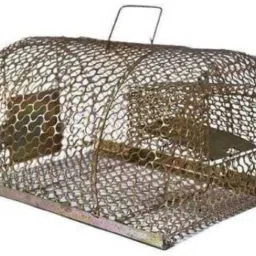 big rat trap Live Trap-12