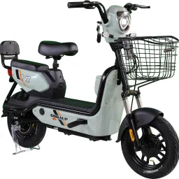 Y1 GREEN 10 inches Single Speed Lead-acid (SLA) Electric Cycle-image-39