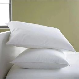 Microfibre Solid Cushion Pack of 2-image-65