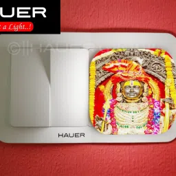 Picture Light Wall Lamp Without Bulb-picture-47