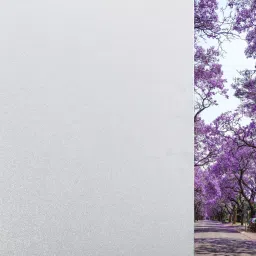 Commercial, Automotive, Residential Window Film-picture-14