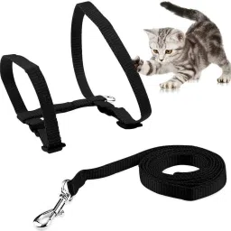 Cat Harnes Leash Set For Cat Kitten (1/2 inch Wide) Cat Harness & Leash-image-9