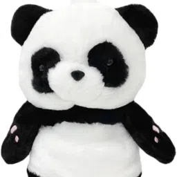 Small 1 L Backpack Lovely Cartoon Panda Backpack Kawaii Cute White Black Bag-image-26
