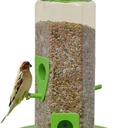 Window Bird Feeder-picture-10