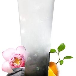 CHARCOAL FACE WASH Face Wash-image-87