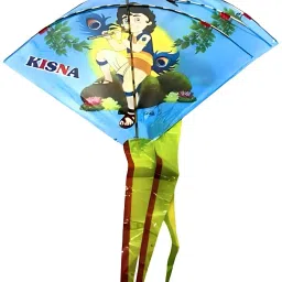 Rectangular Cheel Kite-19