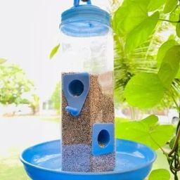 Window Bird Feeder Bird Feeder-image-87