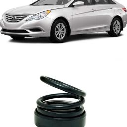 Aqua Diffuser-picture-11