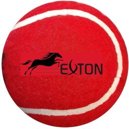 CH 900 Tennis Ball-image-66