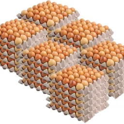 Egg holder Egg Holder-image-80