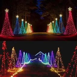 pesca 40 LEDs 11 m Multicolor Steady String Rice Lights image 4