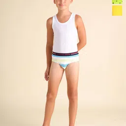 U.S. Polo Assn. Boys Pack Of 3 Printed Anti Bacterial Basic Briefs EKB03-WDY-P3-image-93