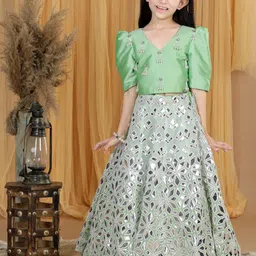 THE LITTLE CELEBS Girls Embellished Beads and Stones Ready to Wear Lehenga &-image-60