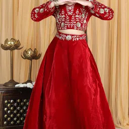 THE LITTLE CELEBS Girls Embellished Beads and Stones Ready to Wear Lehenga &-picture-31
