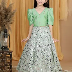 THE LITTLE CELEBS Girls Embellished Beads and Stones Ready to Wear Lehenga &-picture-43
