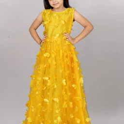 Aika Girls Floral Embroidered Net Maxi Dress-image-78