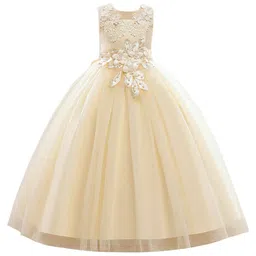 StyleCast Champagne Girls Floral Embellished Sleeveless Applique Detail Maxi Gown Dress-image-81