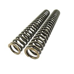 PA Front Fork Spring for Yamaha FZ image 3