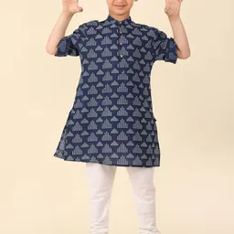 Fabindia Boys Geometric Printed Band Collar Pure Cotton Straight Kurta-11