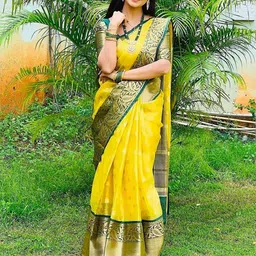 BerMondsey Woven Design Zari Banarasi Saree-picture-48