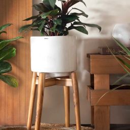 harla arts Crimson Sky (Medium) White Porcelain Floor Planters With Stand-picture-22