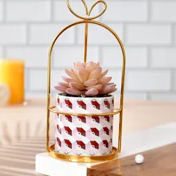 TAYHAA Pink & White Plastic Plant With Ceramic Pot-image-14