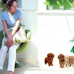 Jaamso Royals Green & Brown Dog & Tree Printed Self-Adhesive Wall Sticker-image-102