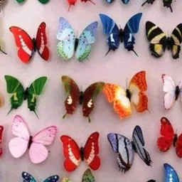 Jaamso Royals Red 12 Pieces Self-Adhesive 3D Butterfly Wall Stickers-image-92