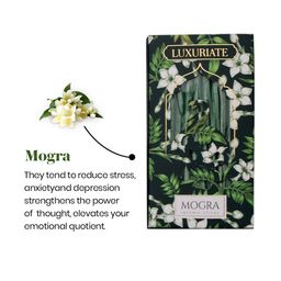 LUXURIATE Green & White Mogra Fragrance 20 Incense Sticks image 5