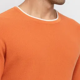 Status Quo Men Rust & White Pullover image 5