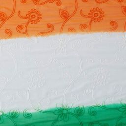 Dupatta Bazaar White & Green Woven Design Dupatta with Thread Work image 3