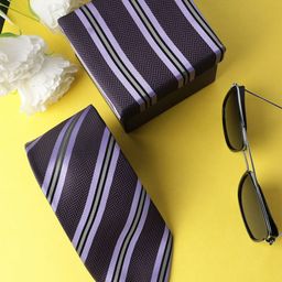 Alvaro Castagnino Men Purple & Black Striped Skinny Tie-image-22