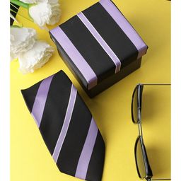 Alvaro Castagnino Men Black & Purple Striped Skinny Tie-image-94