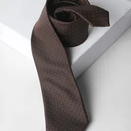 Louis Philippe Men Woven Design Broad Tie-picture-8