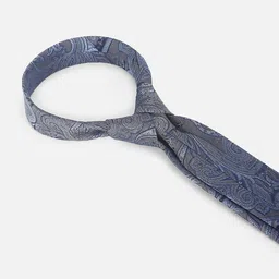 Van Heusen Men Printed Broad Tie image 5