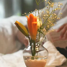 BOROSIL Transparent Glass Flower Vase-6