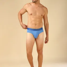 van heusen innerwear Van Heusen High Stretch Mesh Basic Brief IHIBRARV40007 image 2