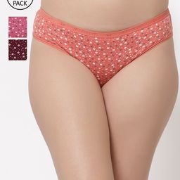Floret Women Pack Of 3 Assorted Briefs-image-46