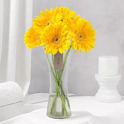 Sunny Gerbera Bouquet for Friendship-image-89